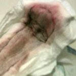 ＜盗撮＞ 汚物収集家 2 『FANZA』