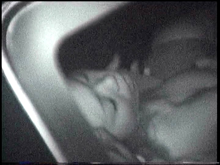 ＜盗撮＞ 「赤外線盗撮シリーズ」Vol.24 CAR SEX 『FAN...