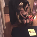 ＜盗撮＞ 【AIリマスター版】盗撮 占い師が騙してハメた女子校生たち 『FANZA』