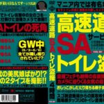 ＜盗撮＞ 高速道路SAトイレ盗撮 『FANZA』