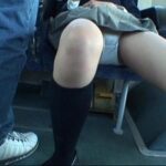 ＜盗撮＞ 驚異のあおり 生パン生足パンチラ電車盗撮 1 『FANZA』
