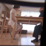 ＜盗撮＞ 不倫検証 自分の妻が浮気をしない人間なのか検証の依頼が届きました。【ひとみ】 本庄瞳 『FANZA』