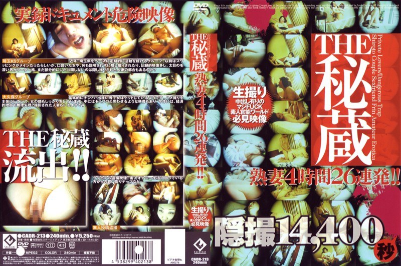 ＜盗撮＞ THE秘蔵 熟妻4時間26連発！！ 『FANZA』
