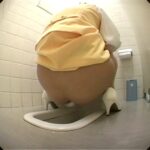 ＜盗撮＞ 首都圏トイレ盗撮 完全ナマ撮り×排泄シーン多数 『FANZA』