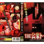 ＜盗撮＞ THE 公衆トイレ 洋式派？和式派？H派？ 『FANZA』