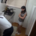 ＜盗撮＞ 不倫検証 自分の妻が浮気をしない人間なのか検証の依頼が届きました。【るる】 逢沢るる 『FANZA』