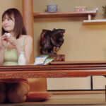 『人妻』 野球観戦が終わって…終電を逃して仕方なく温泉旅館に宿泊。朝まで10発ザーメンホームラン乱れ撃ちSEX 優梨まいな 【FANZA】