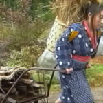 『人妻』 リアリスティックポルノグラフィティ 愛と激情と感動の昭和AV AOFA総集編 【FANZA】