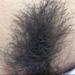 『人妻』 300人のまん毛3 【FANZA】