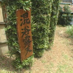 『人妻』 【 AI リマスター版 】巨乳天国 混浴露天風呂5 【FANZA】