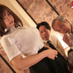 『巨乳』 出張先で軽蔑している中年セクハラ上司とまさかの相部屋に…朝まで続く絶倫性交に不覚にも感じてしまった私 本郷愛 【FANZA】