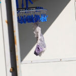 『巨乳』 隣のドスケベ奥さんがパンティを干す昼下がりは欲求不満のサイン 天海つばさ 【FANZA】