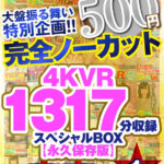 『巨乳』 【VR】【500円ワンコイン】完全ノーカット大盤振る舞い特別企画！！4KVR1317分収録スペシャルBOX【永久保存版】 【FANZA】