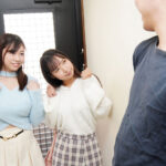 『巨乳』 巨乳新人デリヘル嬢呼んだら1人じゃ不安だからともう一人巨乳の友達を連れてきた件。 1人分の料金で巨乳女子大生2人とハーレム逆3P 星乃夏月・綾瀬こころ 【FANZA】