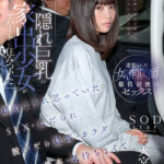 『巨乳』 ある日 隠れ巨乳の家出少女がアパートに住みついた 娘のように思っていたがSEXをねだられ 脱いだら最高のカラダで人生で最高に気持ちよくて ヤリまくった日々 天宮花南 【FANZA】