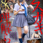 『巨乳』 【VR】【8K】メスガキ理解らせVR-塩対応でクソ生意気なP活J系をクスリ漬け生ハメで再教育- 【FANZA】