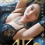 『巨乳』 高級娼婦 神宮寺ナオ 妖艶、華麗な人妻―、美しさ極める。 【FANZA】