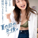 『巨乳』 ハトコのお姉さんとは、結局いつもシテしまう…夏の日の午後。 【FANZA】