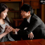 『巨乳』 夫に見られながら見知らぬ男根でロケット乳を揺らせてアエぐ美人妻は返済代わりのお手軽肉便器 宮本留衣 【FANZA】