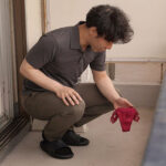 『巨乳』 風で飛んできた下着を返しにいくたびに 谷間丸出しで微笑んでくる隣人のLカップお姉さん 鷲尾めい 【FANZA】