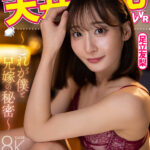 『巨乳』 【VR】天井特化アングルVR ～これが僕と兄嫁の秘密～ 足立友梨 【FANZA】