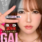 『巨乳』 【VR】【8K】平成ギャル、復活。キラキラ盛り盛りGALと24時間ダラダラ中出しSEX 【FANZA】