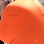 「ぽっちゃり」 爆乳系！肉感作業員 水原みその 『FANZA』