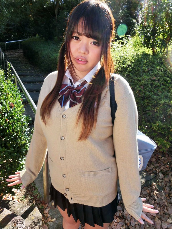 「ぽっちゃり」 めすブタ制服受精 石塚美萌 『FANZA』