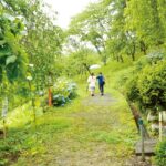 「ぽっちゃり」 高齢の義母とラブホテルに泊まる羽目になりまして… 松原さゆり 『FANZA』