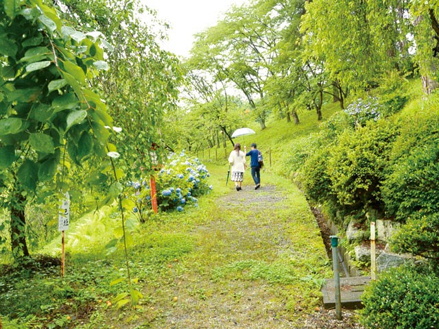 「ぽっちゃり」 高齢の義母とラブホテルに泊まる羽目になりまして… 松原...