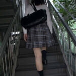 「ぽっちゃり」 階段女子校生 絶対に女子校生のパンチラはラッキースケベの最高峰です！編 『FANZA』