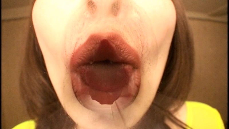 「ぽっちゃり」 ディープスロート淫口変態夫人 青山葵 『FANZA』