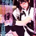 〈アナル〉 【VR】眼鏡かわいい美肌メイドを壁ドンからの立ちバック！ボクのことを好き過ぎるご奉仕メイドとのなんともうらやましい日常。跡美しゅり 〈尻フェチ〉