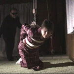 〈アナル〉 奴●志願妻総集編 無残電流鞭打ち針地獄 〈FANZA〉