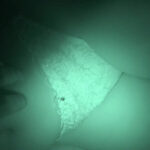 〈アナル〉 個撮睡眠姦記録 vol.25 〈FANZA〉