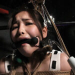 〈アナル〉 超美形お姉さんが電気責めされながら肛門もいじくられて失神するまで 小野寺梨紗 〈FANZA〉