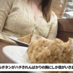 ＜素人＞ 妻子持ちのナンパ好きオヤジが家庭崩壊に陥る寸前までハマった爆乳デカ尻ドスケベOL なつみ 『FANZA』