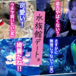 ＜素人＞ 【ド変態すぎる美形看護師めい】1秒でも早くSEXしたくてムラついてる美顔彼女と夜の水族館デート♪部屋の玄関先で即尺！精飲でヤル気をUP↑↑積極騎乗位でチ●コ食いまくりっ！白衣に着替えさせ2R目開始♪激しいSMプレイで痙攣イキ！射精4連発ッ！！【キミ恋◇めい◇22歳◇… 『FANZA』