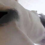 ＜素人＞ 100人の立ち小便 第1集 『FANZA』