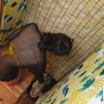 ＜素人＞ 海の家シャワールームオナニー覗き撮り ＃6 『FANZA』