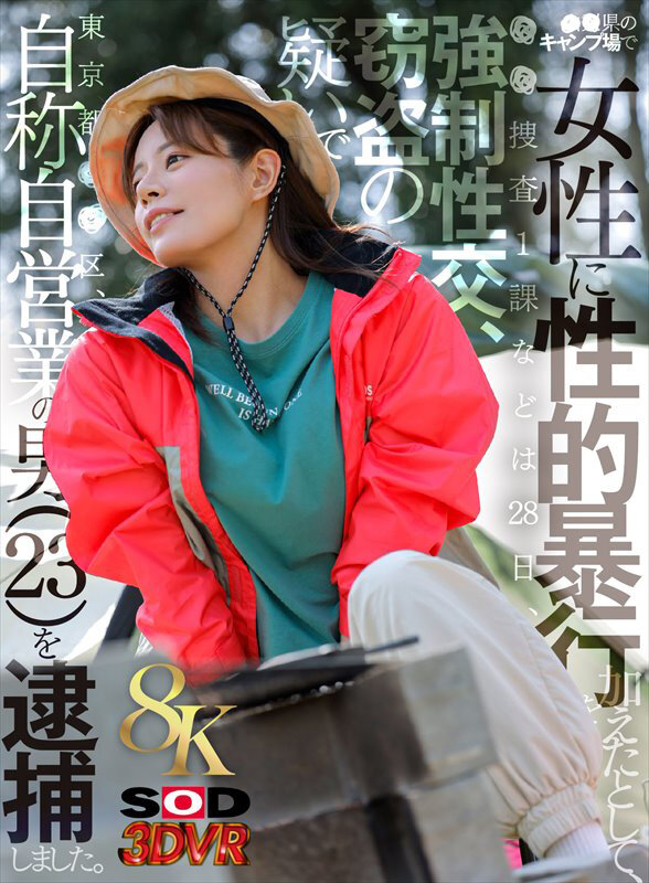 ＜素人＞ 【VR】【8K】〇〇県のキャンプ場で女性に性的暴行を加えたと...