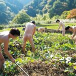 ＜素人＞ ［禁］日本乱交村伝説まとめ4時間 ～日本古来から山奥の集落で伝わる村人たちによる自給自足子作り禁断映像集～ 『FANZA』