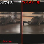 ＜素人＞ 【AIリマスター版】リアル映像 婦女暴行エロチシズム 『FANZA』