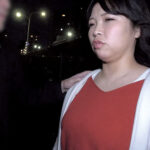 ＜素人＞ 飲みすぎた素人奥さんを口説きナンパ！部屋に連れ込み即SEX180分 『FANZA』