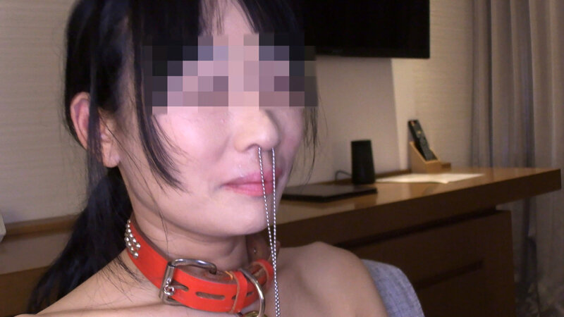 ＜素人＞ 鼻輪・ラビア延伸・乳首肥大化 人体改造されているマゾ女（投稿...