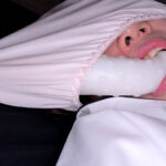 ＜素人＞ 完全昏眠-4名- 英留学希望（1●）/未成熟モデル（1●）/偏差値67漬けマ〇コ（19）/171cmチアリーディング部（1●）全員中出し 夢遊秒 『FANZA』