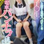 ＜チラリ＞ 【VR】向かいの席から見せつけてくる女子○生の電車パンチラで挑発されて… 『FANZA』