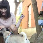 ＜チラリ＞ 犬の散歩中「カワイイ◆」と集まってきた愛犬女子は犬とじゃれあううちに無意識でパンツ丸見え！ヤレルと思った僕はフル勃起、気が付いた女はもはやメロメロで狙い通り、公園のトイレや自宅で即ハメに成功です。 『FANZA』