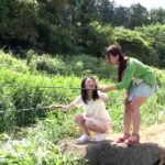 ＜チラリ＞ 「混浴で一緒になった美淑姉妹が仕掛ける誘惑Wチラ見せで勃起したら…どっちでイク？」VOL.1 『FANZA』