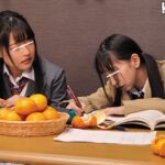 ＜チラリ＞ コタツの中はパンチラ天国！綿パンチラし放題！パンツが食い込んでマン筋も見えたりしてフル勃起！実家に遊びに来た姪っ子たちはみんな制服姿で… 『FANZA』